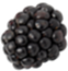 Mora